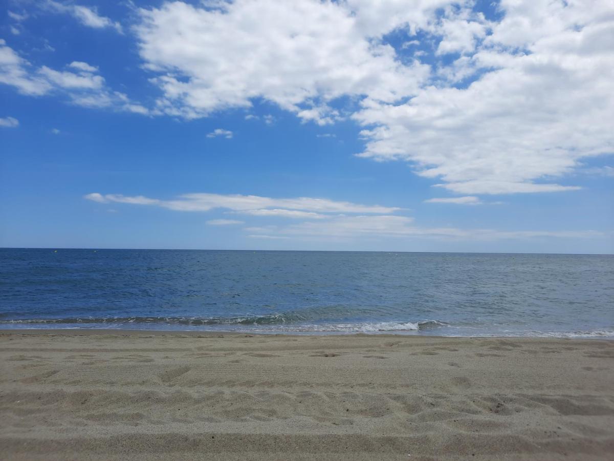 Appartement Vue Mer, Acces Direct Plage, Parking Privatif Le Barcarès Exteriör bild